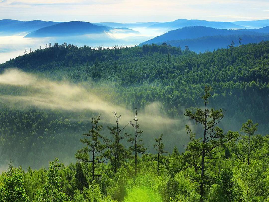李克强对森林草原防灭火工作作出重要批示 